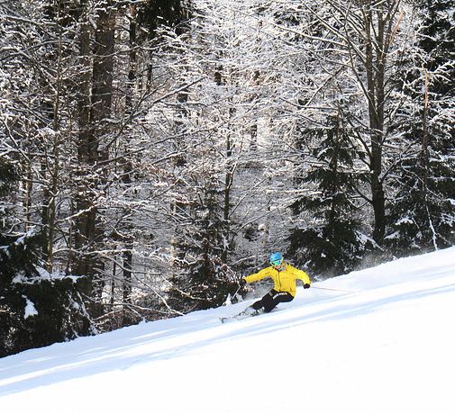 Privátní výuka lyžování pro dospělé / Vysoké nad Jizerou